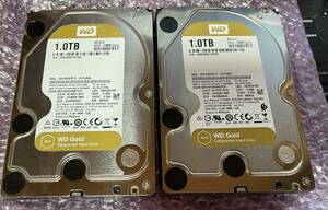 最上位 Western Digital GOLD WD1005FBYZ-01YCBB2　1T 2台 セット HDD 2TB S-ATA　WDGOLD