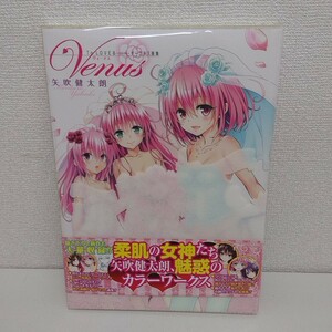 To LOVEる とらぶる ダークネス画集 Venus ヴィーナス 矢吹健太朗 帯付き A80