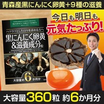 ［ヤフオク専用］黒にんにく 卵黄 にんにく卵黄 青森県産 黒マカ 黒酢 黒たまねぎ ローヤルゼリー 活力 約６ヶ月分/360粒 ゆうパケット_画像1