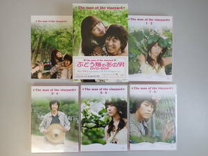 Y4BΦ DVD-BOX 4枚セット【ぶどう畑のあの男】The man of the vineyard ユン・ウネ オ・マンソク 韓国ドラマ 韓流