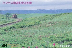 ハマナス街道を走る列車　JR北海道原生花園駅オレンジカード