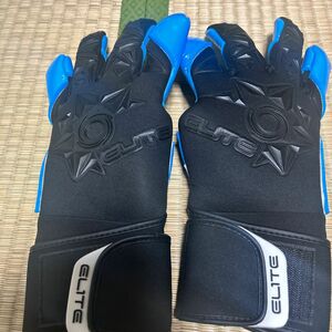 エリートスポーツGKグローブエリートネオアクア10号