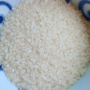飯ごう　2合用　白米　コシヒカリ 