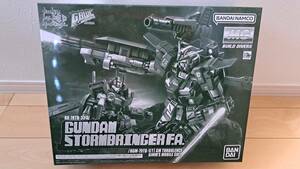 新品 未開封 MG 1/100 ガンダムストームブリンガー Ｆ.Ａ.（フェイタル・アッシュ）／ジム・タービュレンス　プレミアムバンダイ