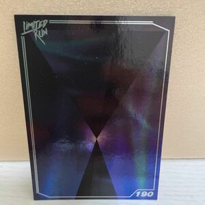 Limited Run Games Silver Foil Trading Card 190