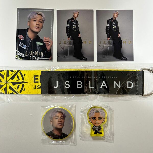 三代目 J SOUL BROTHERS JSB LAND フォトカード ガチャ 缶バッジ ELLY 