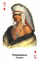 オラクルカード 占い カード占い タロット ネイティブ アメリカンのトランプ セット 1 Native American Playing Cards_画像2
