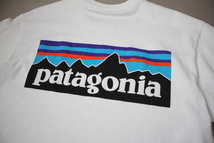 【patagonia】パタゴニア　Tシャツ　バックプリント　白　XS　古着　半袖カットソー　ロゴプリント_画像3
