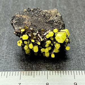 緑鉛鉱 Pyromorphite 結晶 中国産 ①