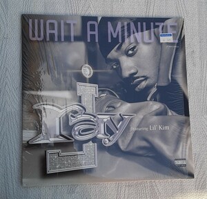 WAIT A MINUTE / ray J Featuring Lil' Kim LPレコード 音楽 レトロ LP レコード コレクション