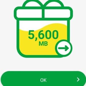 【迅速対応！】約5.6GB 5600MB mineo マイネオ パケット 匿名安心迅速t1#