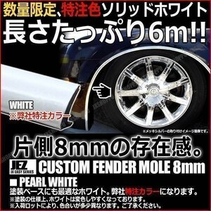 送料無料！ フェンダーモール 幅:8mm 長:6m [ホワイト] ビス付き ツライチ ハミタイ ドレスアップ 保護 フェンダー 外装 艶 補修 車 汎用