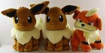 L☆中古品☆ポケモンぬいぐるみ13点セット ピカチュウ/イーブイ/ブースター/ゼニガメ/カイリュー/ガーディ ポケットモンスター ダブリあり_画像5