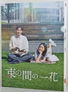 P◎中古品◎DVDソフト『束の間の一花 DVD-BOX』 JABA-5466～68 3枚組 京本大我/藤原さくら ジェイ・ストーム 帯付き クリアファイル未開封