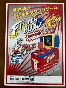  leaflet finish blow arcade pamphlet catalog Flyer 