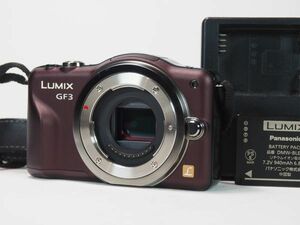 パナソニック Panasonic LUMIX DMC-GF3 Brown Body 茶色 [美品] #Z22A