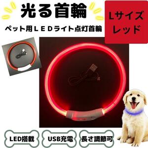 光る首輪 犬用 LED搭載 USB充電 レッド Lサイズ 赤 夜 散歩 犬 USB usb 充電 軽量 軽い 散歩 夜 キラキラ 安全 おしゃれ カラフル