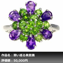 【1円新品】イケゾエガレ｜3.50ct 天然アメジスト&クロムディオプサイト K14WG仕上リング 17号｜作家モノ｜本物保証｜NGL鑑別対応_画像1