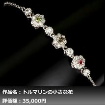 【1円新品】イケゾエガレ｜0.35ct 天然トルマリン ダイヤモンド K14WG仕上ブレスレット｜本物保証｜作家モノ｜NGL鑑別対応_画像1