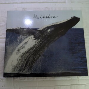 Mr.Children sense