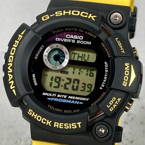 極美品 G-SHOCK GW-204K-9JR 2004年 第4回イルカクジラ会議 イルクジ限定 FROGMAN フロッグマン タフソーラー ブラック イエロー ゴールド