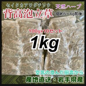 【天然ハーブ入浴剤】背高泡立草　セイタカアワダチソウ　大容量1kg 沢山入ります　天然素材 在庫残りわずか！