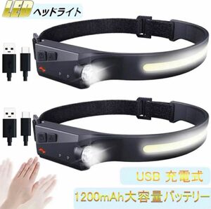 ヘッドライト LED充電式 USB IPX4防水 高輝度 サイズ調節可能 軽量 釣り登山 アウトドアキャンプ ニ個セット