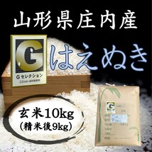 ◆Ｇセレクション！新米！令和５年産！山形庄内産はえぬき玄米１０kg（白米９kg）送料無料_画像1