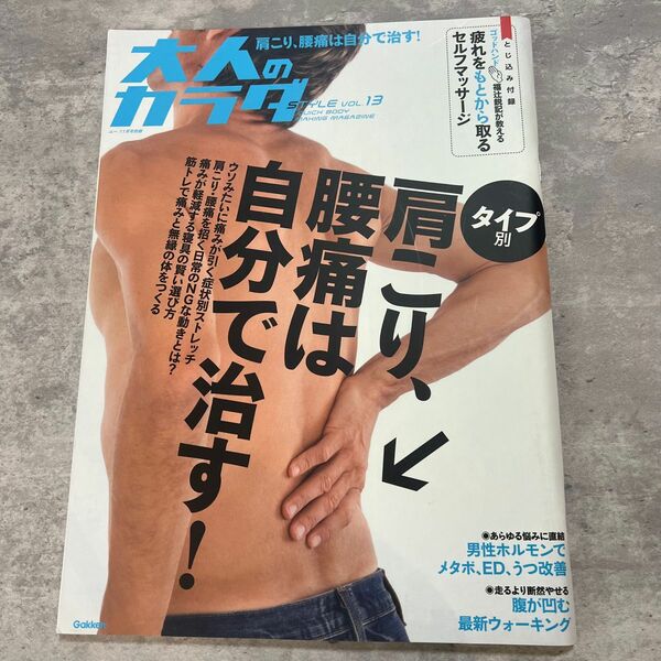 大人のカラダSTYLE (スタイル) Vol.13 2013年 11月号