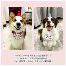 ☆ イエロー ☆ ペット用 アクセサリー 誕生日 kpet15 犬 誕生日 帽子 バースデー 犬猫 アクセサリー 首 スタイ ハット よだれかけ_画像4