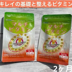 ★送料無料★　キレイの基礎と整えるビタミン　サプリ　栄養機能食品 マルチビタミン サプリメント サプリ 美容