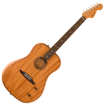 Fender フェンダー Highway Series Dreadnought Rosewood Fingerboard All-Mahogany エレクトリックアコースティックギター_画像1