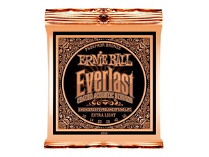 ERNIE BALL