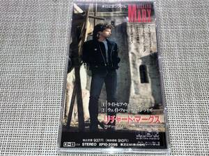 送料込み Richard Marx リチャード・マークス / ライト・ヒア・ウェイティング 8cm SCD 即決