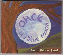 DAVID NELSON BAND ONCE IN A BLUE MOON_画像1