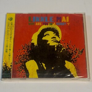 《未開封》CD LIKKLE MAI / リクルマイ WHY ARE YOU IN A HURRY?