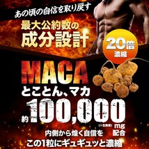 【パワーみなぎる！！】マカ 100,000mg 戦煌王サプリ 亜鉛 シトルリン アルギニン ペルー産濃縮有機マカ 厳選133種 60粒_画像2