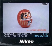 Nikon D40x ボディ（ニコン/デジタルカメラ/バッテリー欠品/JUNK）_画像9