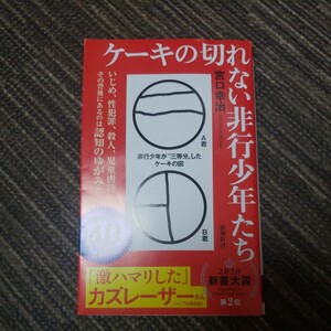 ケーキの切れない非行少年たち （新潮新書　８２０） 宮口幸治／著