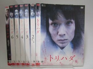 【レンタル落ち】DVD ドラマ トリハダ 全6巻/劇場版 計7枚 谷村美月 佐津川愛美【ケースなし】