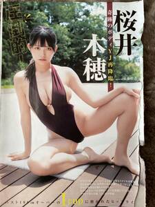 桜井木穂雑誌切り抜き5ページヤングジャンプマガジンチャンピオンアニマルキングプレイボーイFRIDAY Flashグラビア女優アイカップ巨乳