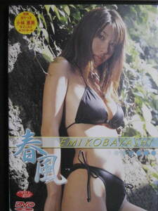 DVD 春風 小林恵美