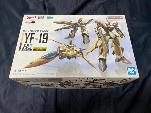 HG 1/100 YF-19 マクロス プラス　水転写デカール付