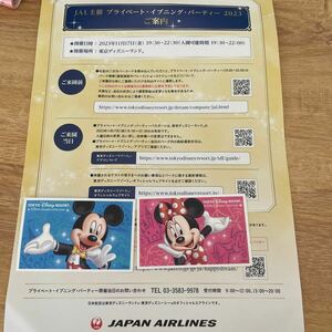 東京ディズニーランド JAL主催プライベート・イブニング・パーティー2023 チケット　貸切