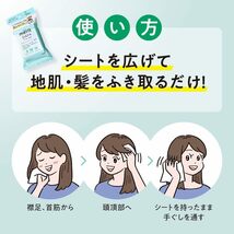 【送料無料】新品 未使用 メリットデイプラス ドライシャンプーシート ホワイトグリーン 12枚入り×3セット スポーツ 登山 入院 介護_画像2