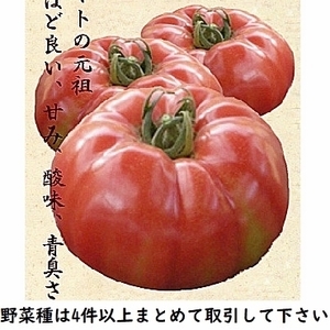 4件以上落札◆トマト種◆ポンテローザ10粒◆固定種 大玉トマト