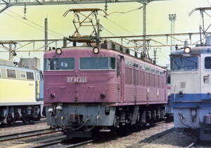 ◆◆ 【写真1枚】 EF81 301　吹田機関区　KGサイズ　◆◆