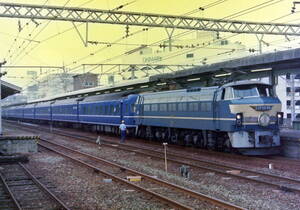 ◆◆ 【写真1枚】 EF66 46　さくら　KGサイズ　◆◆