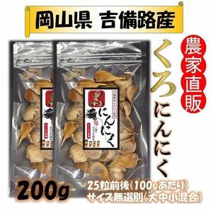 黒にんにく 100g×2個 岡山県産 農家直販 手作り