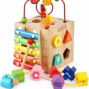モンテッソーリ おもちゃ 知育玩具 木のおもちゃ 男の子 女の子 モンテッソーリ教具 早期開発 指先訓練 